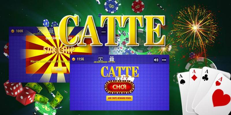 bai-catte